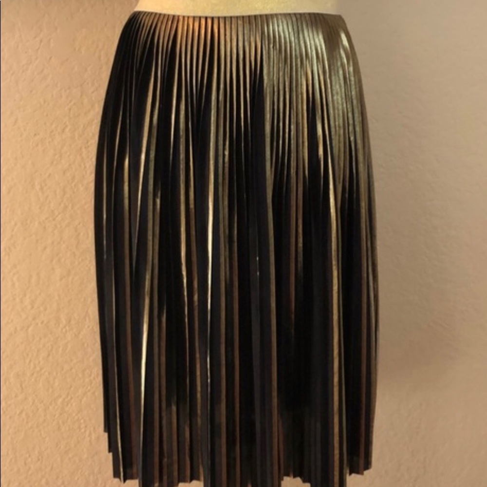 Black and Gold Skirt